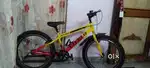 brand new bicycle brand - vivelo