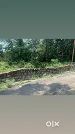 Plots available for sale location lacchiwala @28k/gaj