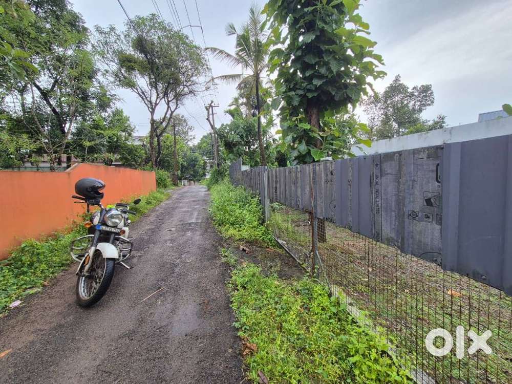 8 Cent Land with Old House – Near Ration Kada Bus Stop, Panayikulam