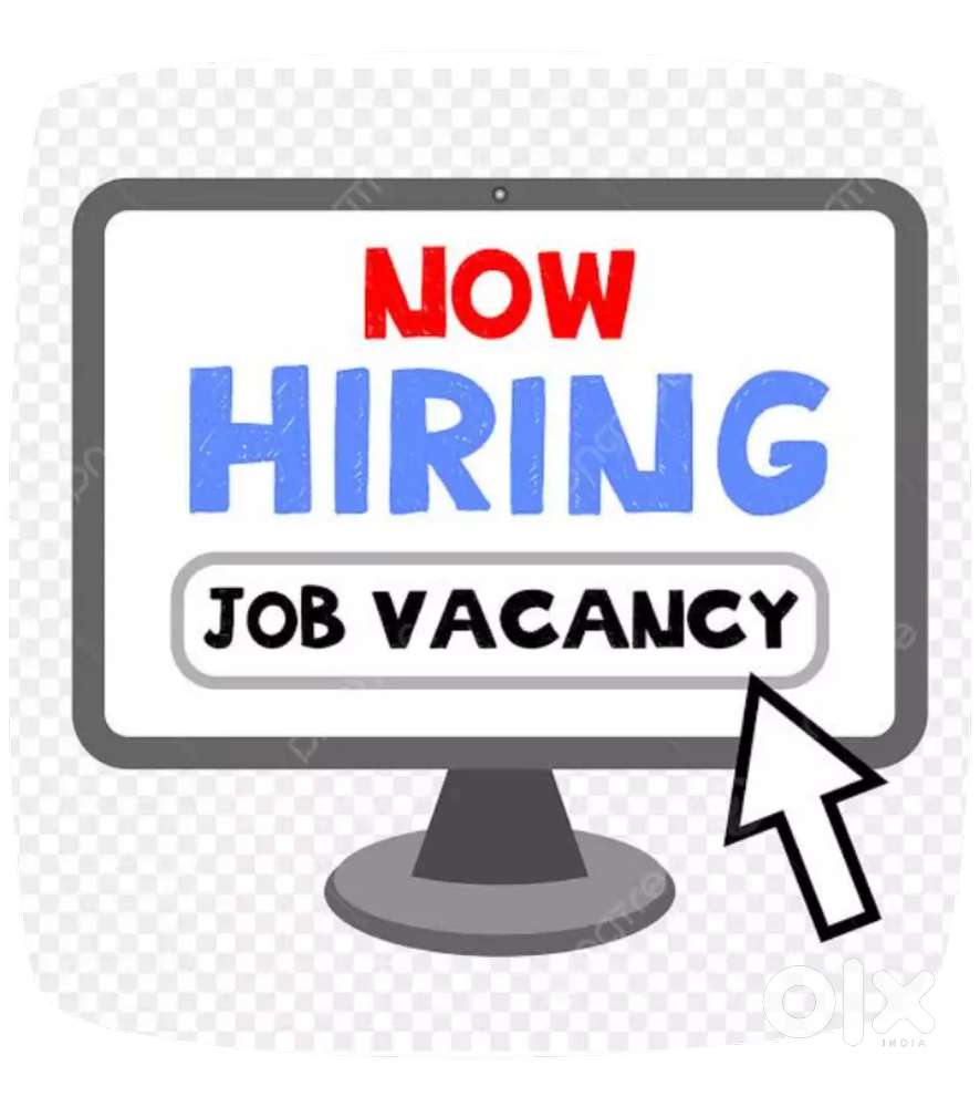 Job vacancy for fresher's