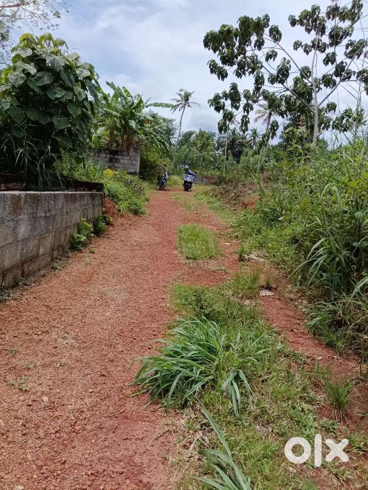 സെൻറ് വില ഒന്നര ലക്ഷം മുതൽ