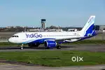 Jobs in indigo airlines apply fast
