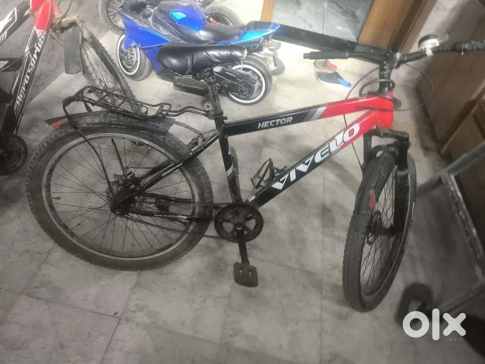 A mountain cycle for adults