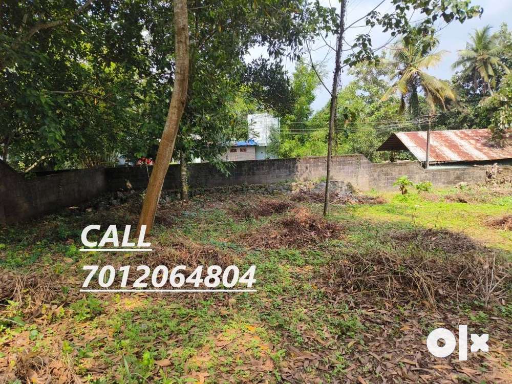 (ID-S198683) Residential 5 Cent Land For Sale At Kanjirampara