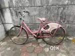 Lady Bird & Kross Boult Cycle