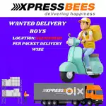 Wanted Delivery Boys