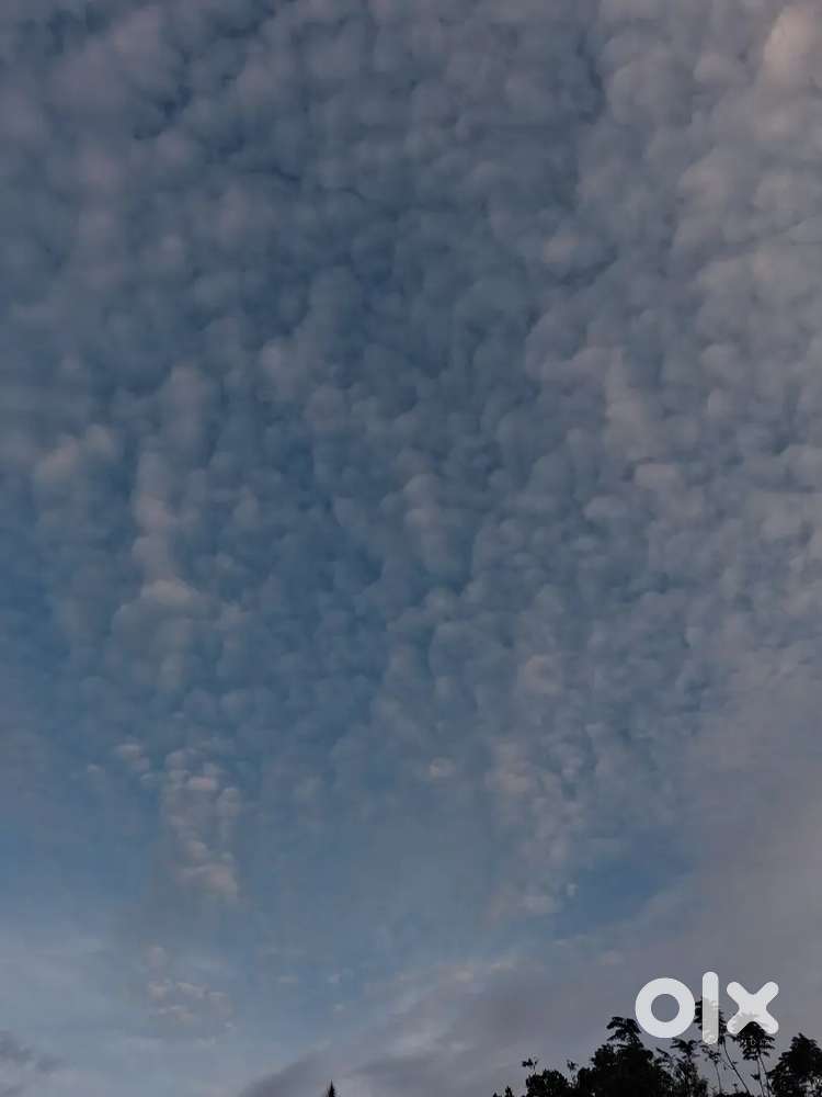 Driver lmv thuruthi, Changanacheri