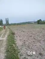 Urgent Sale - milkate land mohanpora ompora budgam