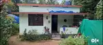 പഴന്തോട്ടത്ത് വീടും 17 cent പുരയിടവും വിൽപ്പനയ്ക്ക്