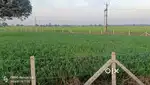 Form house for sale in Kolar road