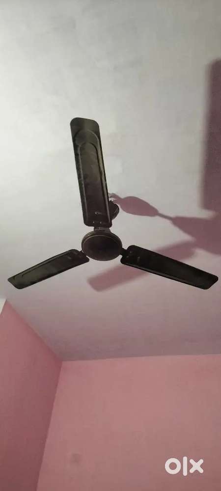 Single Room for rent