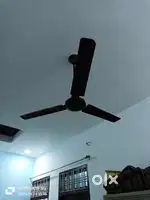 Ceiling fan for sale