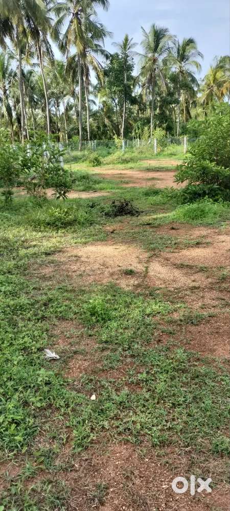 5 & 10cent plot for sale near kunissery bypass