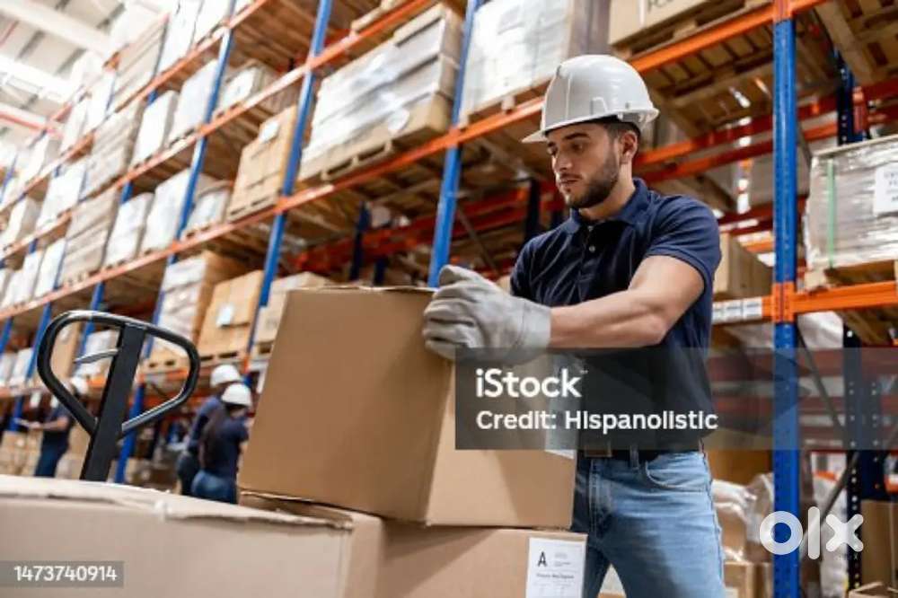 WARE HOUSE, PACKING// HELPER// SCANNING //LOADING UNLOADIN//JOB