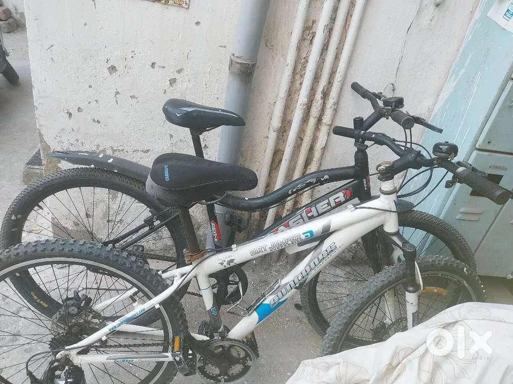 Branded cycle ( less used)