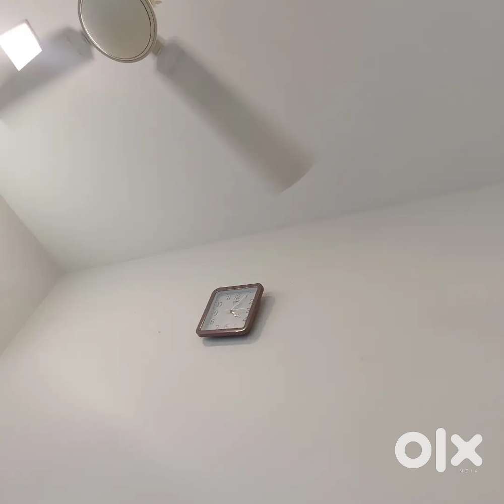 Garden flat for rent