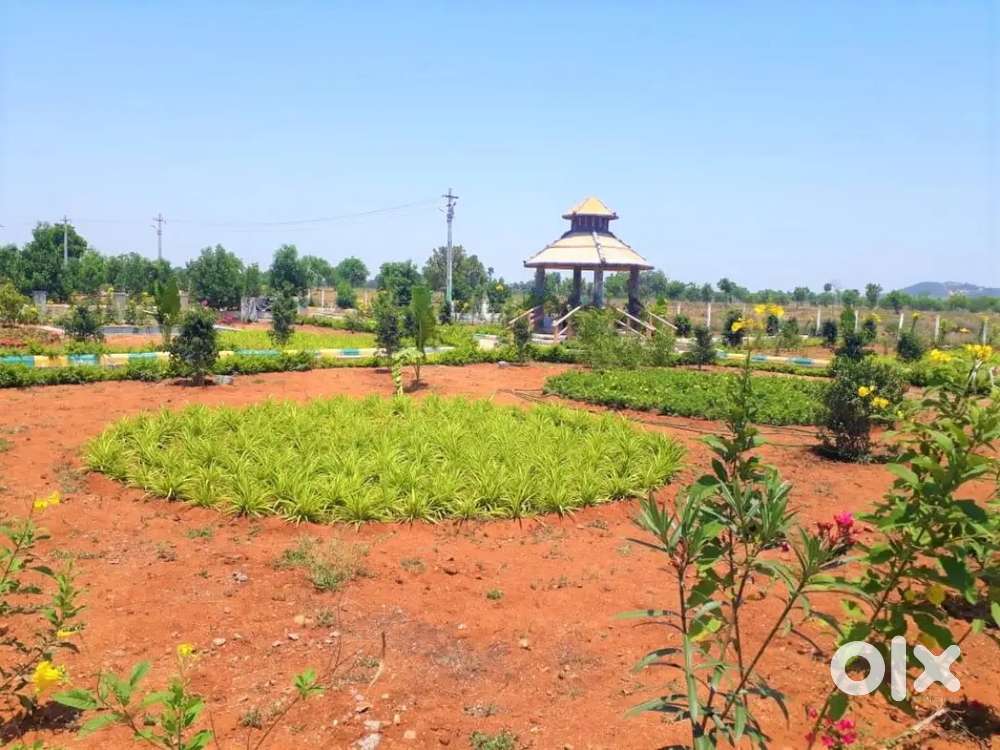 121 square yards open plots available for sale yadadri temple near