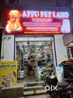 female sales staff