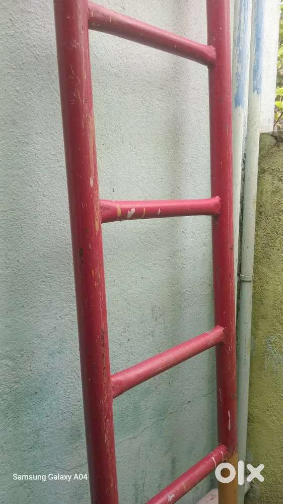 Ladder 11ft