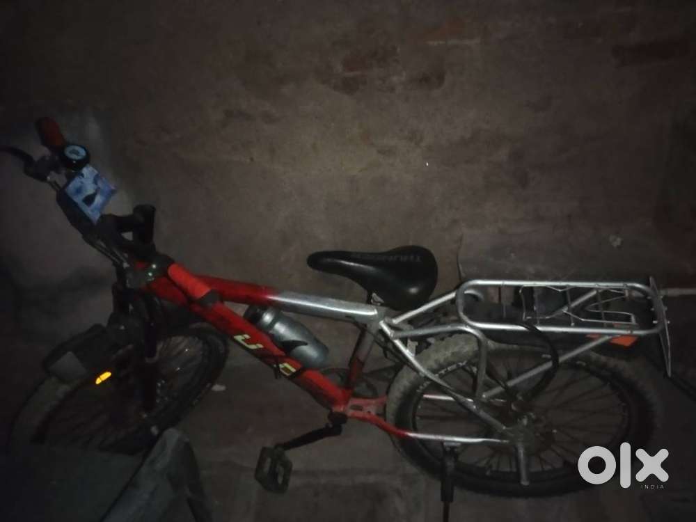 आयु एक वर्ष और 5 महीने