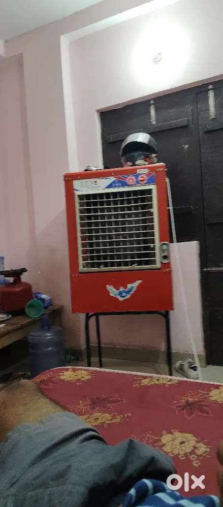 Cooler 4month old