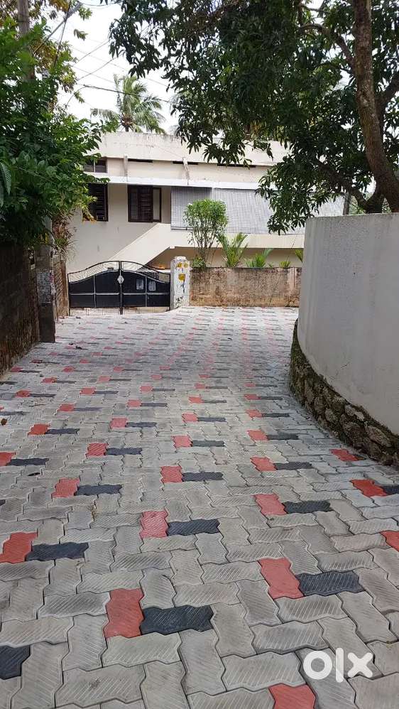 Want to sell 4 cent land