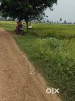 Agriculture land registed 1.4 acer and sale for 7500000