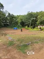 5 to 10cent  original land, near choondy, vadayamady  .