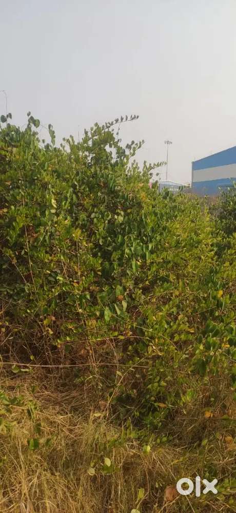 100 %clear title with 7/12