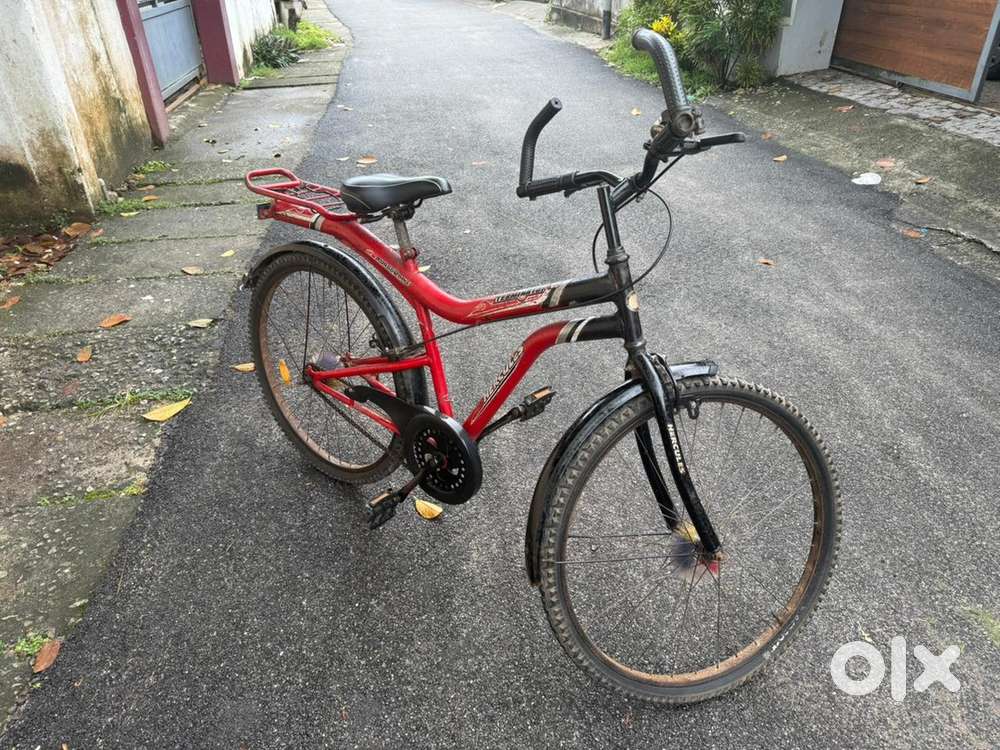 Hercules Terminator(2015 model) , great cycle for the beginners