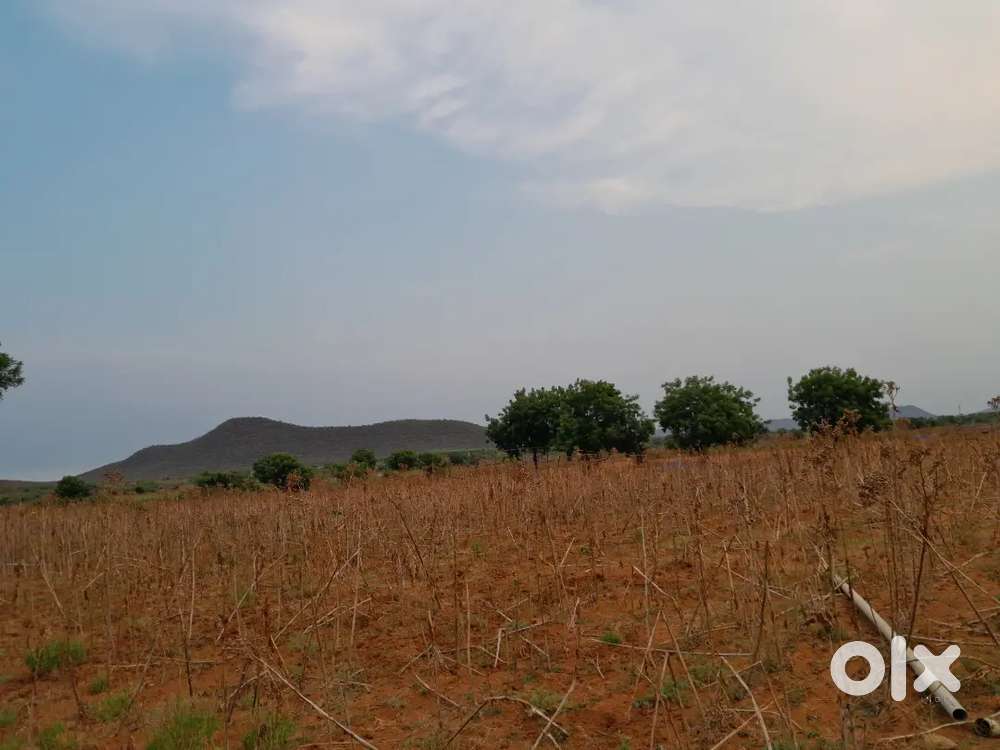 Agriculture land for sale 5 acres