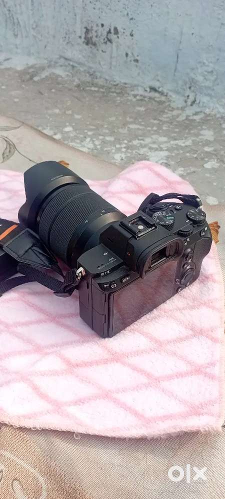 Sony a7m3 Ten month old with bill and box