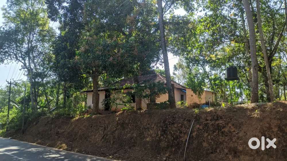 15 Cent house plot in main road side