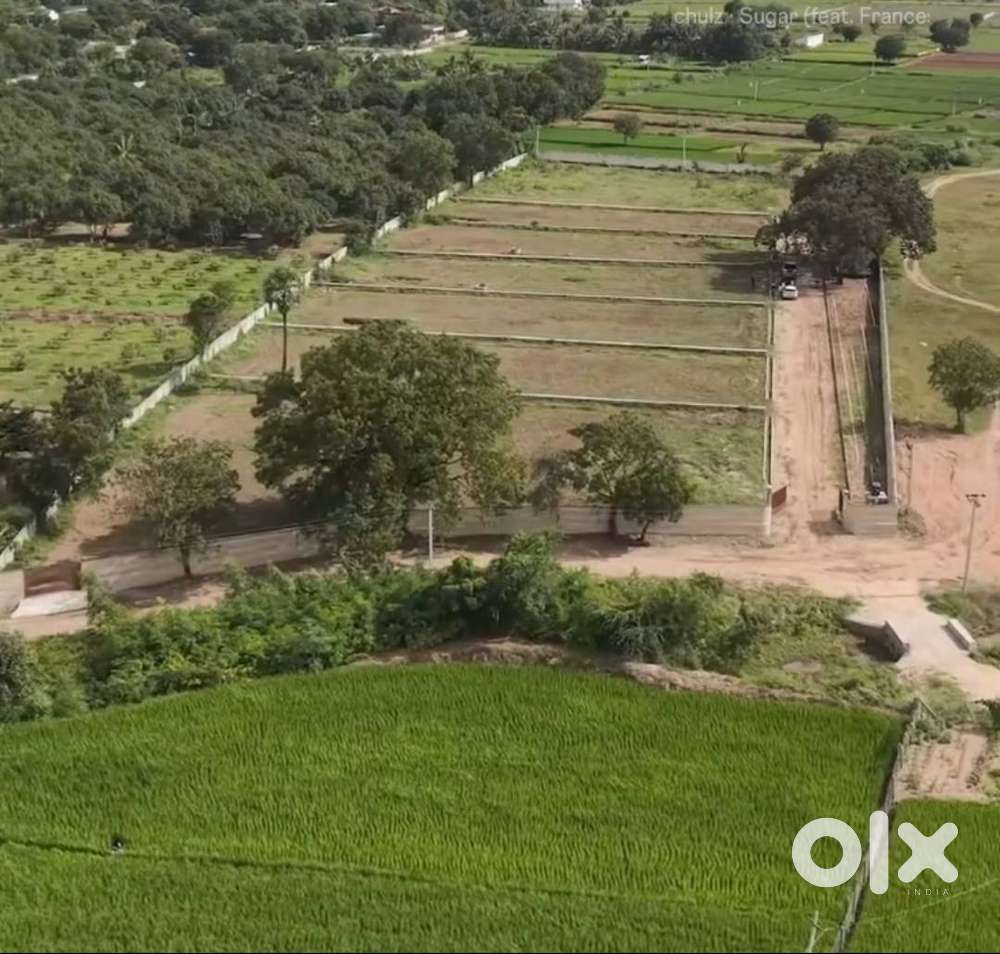 Moinabad's Premium 2.5-Acre Venture Close to ORR