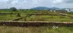 Residential Plot for Sale