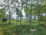 50-Cent Beautiful Land for Sale in Kathaloor, Marayoor, Munnar – ₹25 L