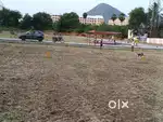 DTCP approved Plot for sale at Katpadi Christianpet