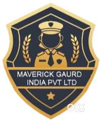 Marketing Executive