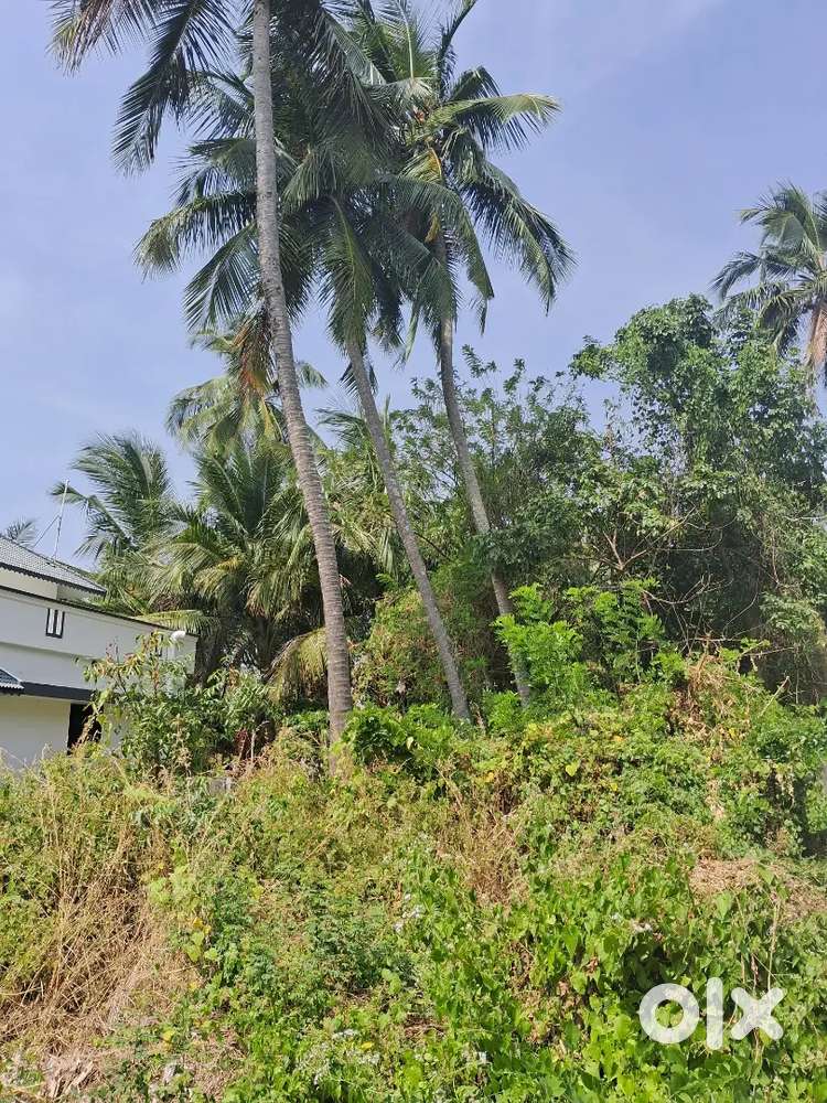 Plot for sale at yakkara