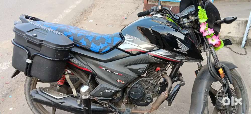 Honda livo