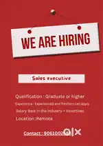 Sales executive for Banking field