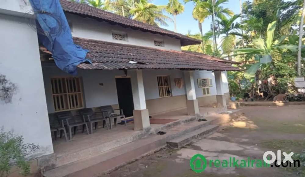 plot for sale in thilannur