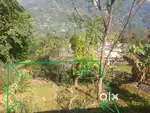 40*50 BEST SITUATED PLACED LAND FOR SELL
