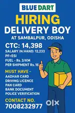 DELIVERY BOY