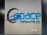 Python Developer