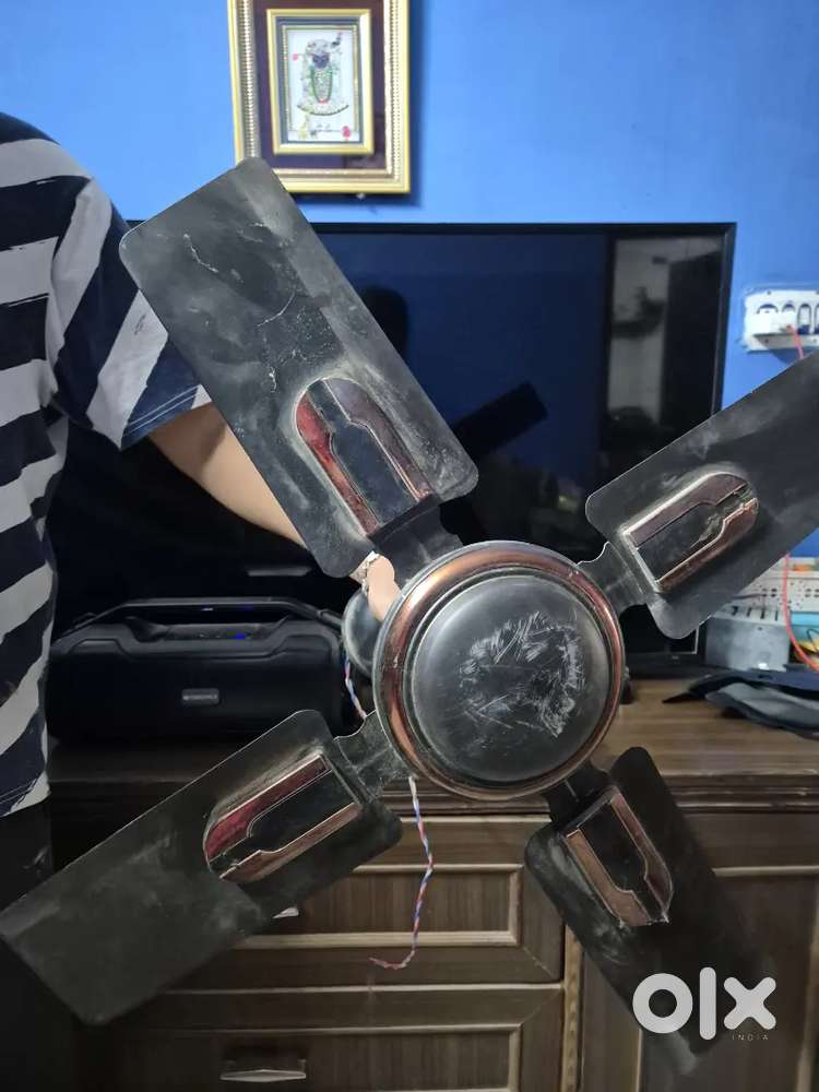 Ceiling fan
