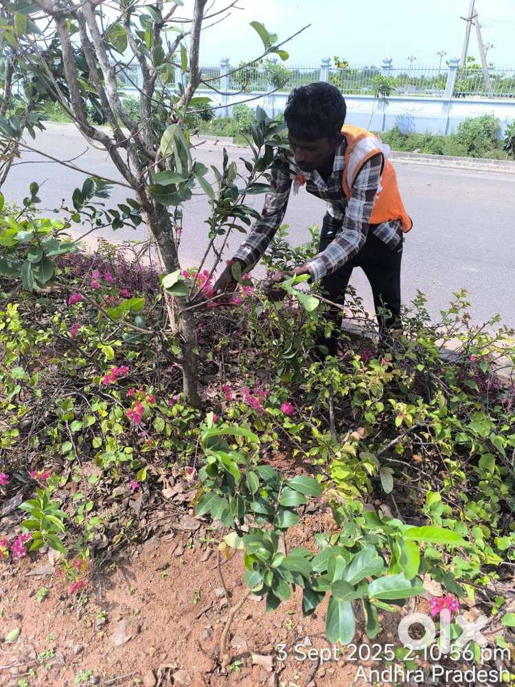 1 BHK House for rent at Satyanarayana puram Vijayawada