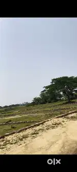 Plot for sale