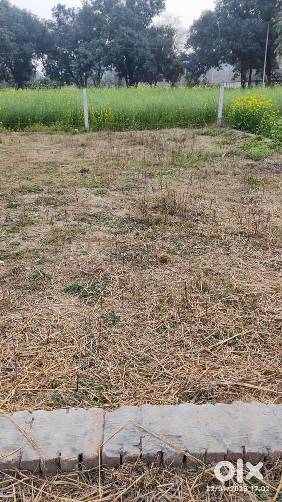 20 by 45 ka plot h and 20 feet rasta h