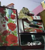 SOKES CUM ALMIRA